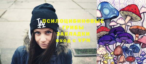 тгк Армянск