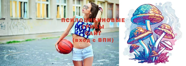 тгк Армянск