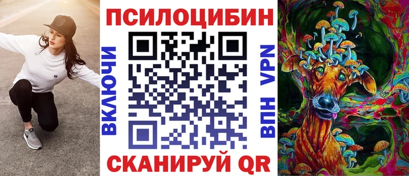 купить наркотики цена  Полысаево  Галлюциногенные грибы мицелий 